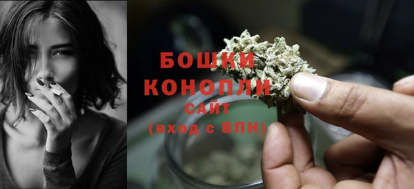 амф Россошь