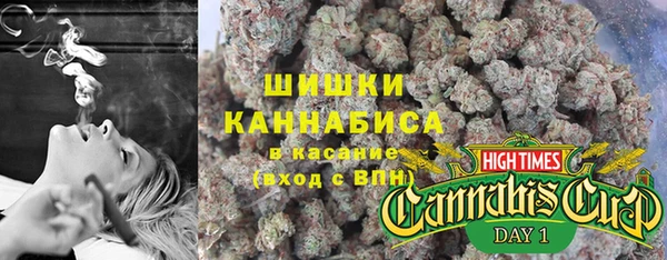 амф Россошь