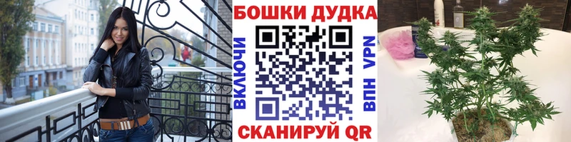 Бошки марихуана Bruce Banner  Сосенский 
